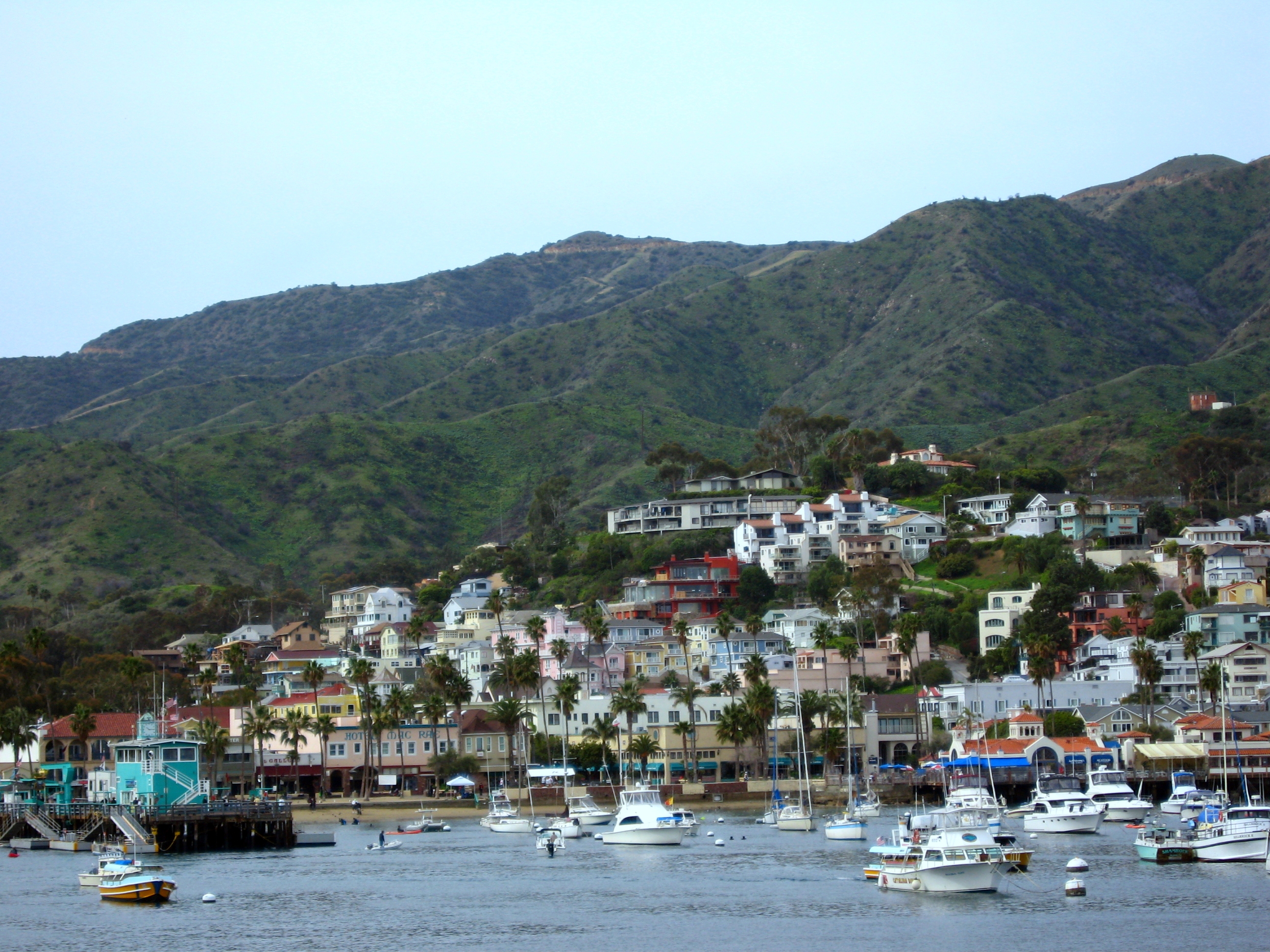 Download this Catalina Island Day Trips From Orange County picture