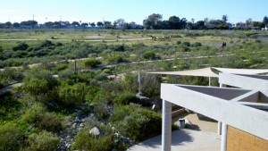 2011 02 22 15 20 09 879 800x451 300x169 Peter and Mary Muth Interpretive Center   Back Bay   Newport Beach