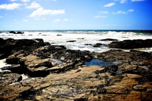 Crystal Cove tidepools