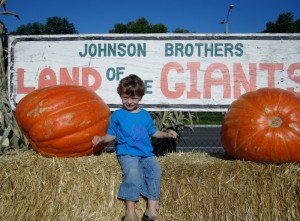 Irvine Valley College Pumpkin Patch