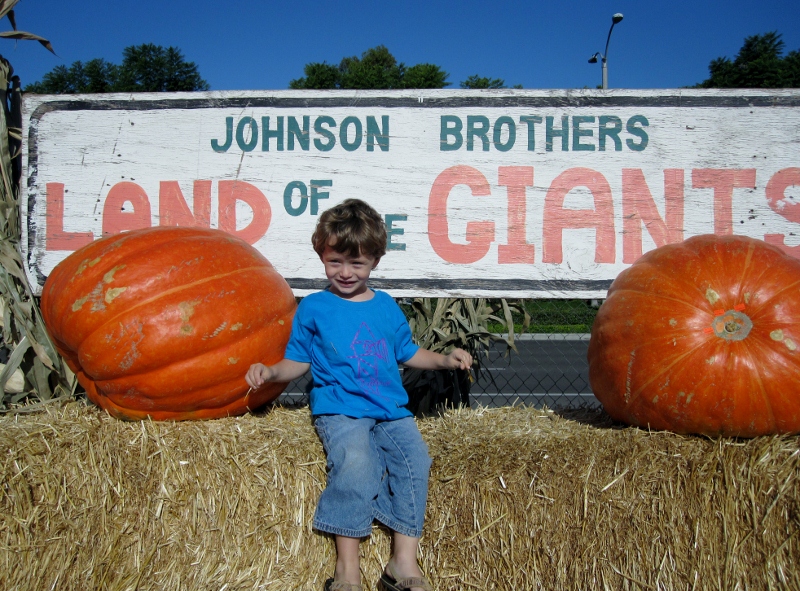 Irvine Valley College Pumpkin Patch